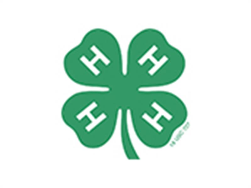 Fair Logo